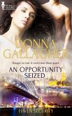 An Opportunity Seized (eBook, ePUB)