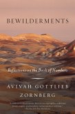 Bewilderments (eBook, ePUB)