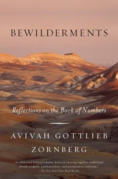 Cover Bewilderments (eBook, ePUB)