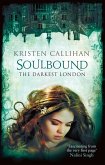 Soulbound (eBook, ePUB)