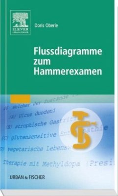 Cover Flussdiagramme zum Hammerexamen