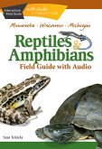 Reptiles & Amphibians of Minnesota, Wisconsin and Michigan Field Guide (eBook, ePUB)