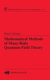 Mathematical Methods of Many-Body Quantum Field Theory (eBook, PDF)