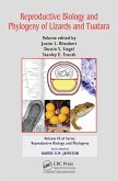 Reproductive Biology and Phylogeny of Lizards and Tuatara (eBook, PDF)
