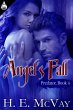 Angel's Fall (eBook, ePUB) - Bild 1