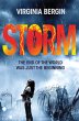The Storm (eBook, ePUB) - Bild 1