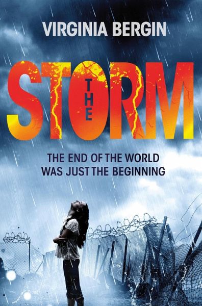 The Storm (eBook, ePUB)