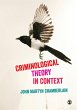 Criminological Theory in Context... - Bild 1