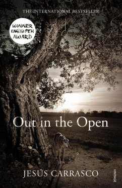 Out in the Open (eBook, ePUB) - Carrasco, Jesús