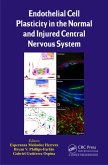 Endothelial Cell Plasticity in the Normal and Injured Central Nervous System (eBook, PDF)