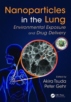 Nanoparticles in the Lung (eBook, PDF)