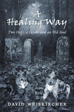 Cover Healing Way (eBook, ePUB)