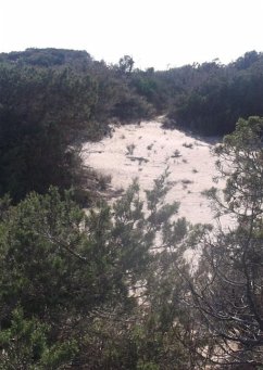 Cover Ich liebe Dich bis in den Tod (eBook, ePUB)