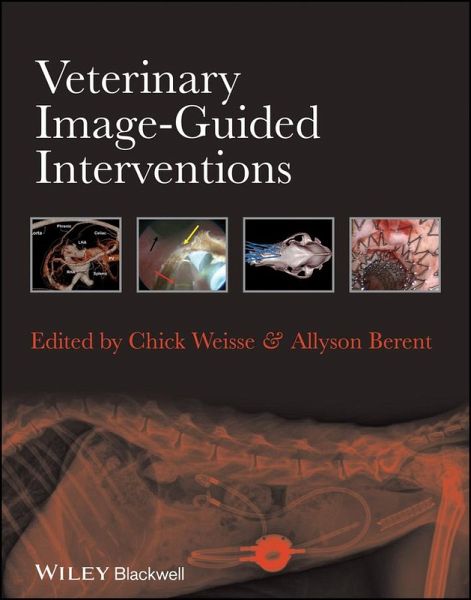 Veterinary Image-Guided Interventions (eBook, ePUB)