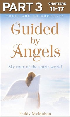 Guided By Angels: Part 3 of 3 (eBook, ePUB) - Mcmahon, Paddy