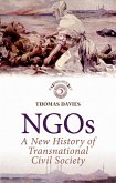 NGOs (eBook, ePUB)