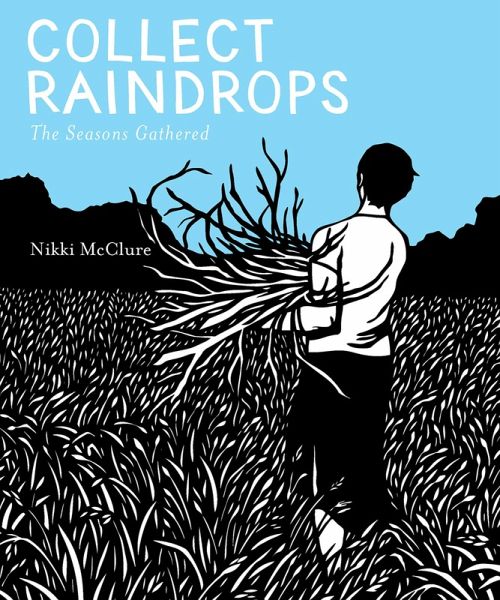 Collect Raindrops (eBook, ePUB)