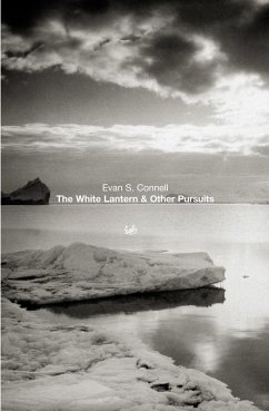 Cover The White Lantern And Other Pursuits (eBook, ePUB)