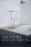 The Double Lives of Objects (eBook, PDF)