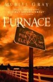 Furnace (eBook, ePUB)
