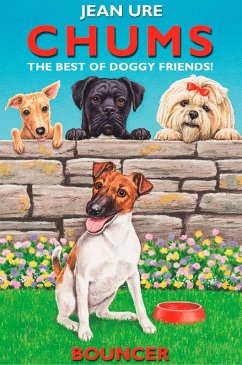 Cover Bouncer (eBook, ePUB)