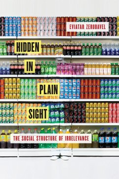 Hidden in Plain Sight (eBook, PDF) - Zerubavel, Eviatar