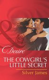 The Cowgirl's Little Secret (Mills & Boon Desire) (Red Dirt Royalty, Book 2) (eBook, ePUB)
