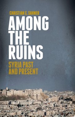Cover Among the Ruins (eBook, PDF)