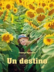 Un destino (eBook, ePUB) - Settimio Agostini, Franco