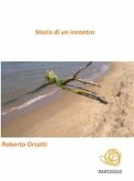 Storia di un incontro (eBook, ePUB)