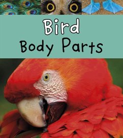 Bird Body Parts - Lewis, Clare