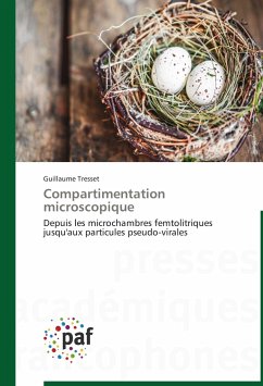 Compartimentation microscopique - Tresset, Guillaume