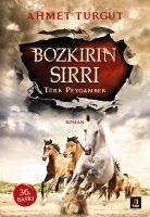 Bozkirin Sirri - Turgut, Ahmet