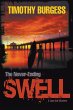 The Never-Ending Swell (eBook, ePUB) - Bild 1