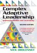 Complex Adaptive Leadership - Bild 1