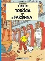 Tintin: Todoga Na Bhfaronna (Irish) - Herge