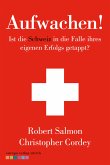 Aufwachen! (eBook, ePUB)