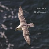 Wild Looe Wild Looe