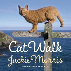 Cover Cat Walk