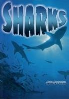 Sharks - Townsend, John