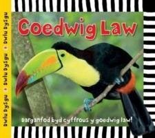 Cyfres Dwlu Dysgu: Coedwig Law - Powell, Sarah