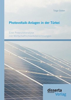 Photovoltaik-Anlagen in der Türkei: Eine Potenzialanalyse mit Wirtschaftlichkeitsberechnungen - Göden, Tolga