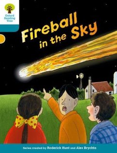 Oxford Reading Tree Biff, Chip and Kipper Stories Decode and Develop: Level 9: Fireball in the Sky - Hunt, Roderick; Shipton, Paul