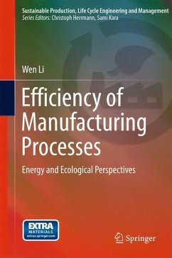 Efficiency of Manufacturing Processes - Li, Wen