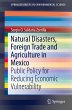 Natural Disasters, Foreign Trade and... - Bild 1
