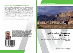 Hydrocarbon Reservoir Simulation - Ramsauer, Medardus