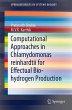 Computational Approaches in... - Bild 1