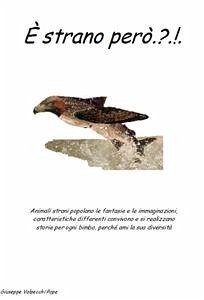 è strano però...!? (eBook, PDF) - Valsecchi, Giuseppe