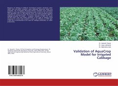 Validation of AquaCrop Model for Irrigated Cabbage