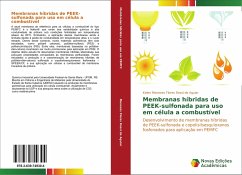 Membranas híbridas de PEEK-sulfonada para uso em célula a combustível - Menezes Flores Rossi de Aguiar, Kelen